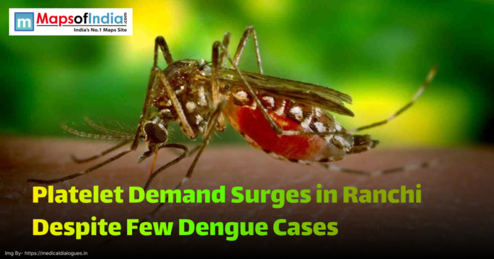 Close-up image of a dengue mosquito (Aedes aegypti) biting human skin, with a headline overlay reading 