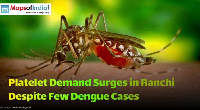 Platelet Demand Surges in Ranchi Despite Few Dengue Cases Close-up image of a dengue mosquito (Aedes aegypti) biting human skin, with a headline overlay reading "Platelet Demand Surges in Ranchi Despite Few Dengue Cases," highlighting rising medical concerns in the region.