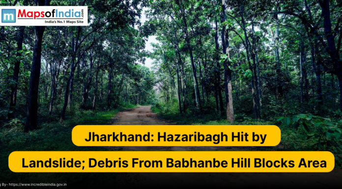 Jharkhand: Hazaribagh Hit by Landslide; Debris From Babhanbe Hill Blocks Area Forest road in Hazaribagh, Jharkhand, with dense green trees on both sides, overlaid with text reporting a landslide at Babhanbe Hill blocking the area.