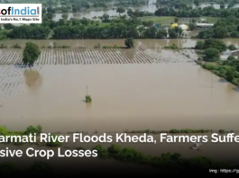 Overflowing Sabarmati River flooding agricultural fields in Kheda, leaving farmland submerged and causing massive crop losses for farmers.