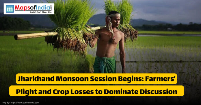 A farmer carrying bundles of rice seedlings on his shoulders in a lush green paddy field, highlighting the focus on agricultural issues in Jharkhand's monsoon session.