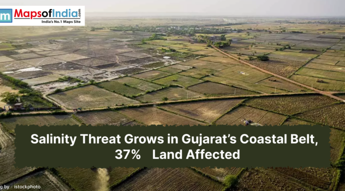Salinity Threat Grows in Gujarat’s Coastal Belt, 37% Land Affected An aerial photograph shows a vast expanse of agricultural fields. Many of the fields appear dry and are divided into square and rectangular plots by earthen boundaries and small roads. Some fields are barren, while others have some vegetation.