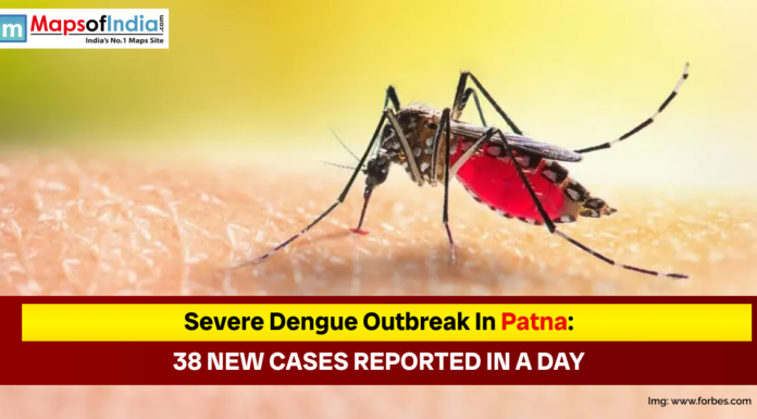 Severe Dengue Outbreak in Patna: 38 New Cases Reported in a Day A close-up photograph of a Dengue-carrying mosquito Aedes aegypti (or similar species) perched on human skin, drawing blood, which is visible as a red mass inside its abdomen.
