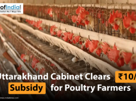 A poultry farm with chickens in cages, alongside a headline stating 'Uttarakhand Cabinet Clears ₹10/kg Subsidy for Poultry Farmers'