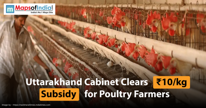 A poultry farm with chickens in cages, alongside a headline stating 'Uttarakhand Cabinet Clears ₹10/kg Subsidy for Poultry Farmers'