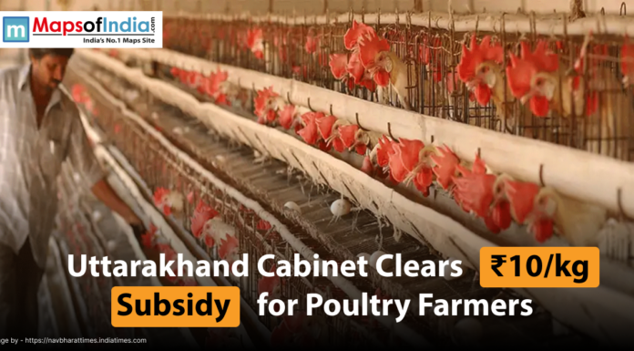 Uttarakhand Cabinet Clears ₹10/kg Subsidy for Poultry Farmers A poultry farm with chickens in cages, alongside a headline stating 'Uttarakhand Cabinet Clears ₹10/kg Subsidy for Poultry Farmers'