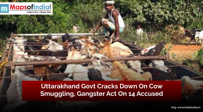 Uttarakhand Govt Cracks Down on Cow Smuggling, Gangster Act on 14 Accused Truck carrying cows intercepted as Uttarakhand government intensifies crackdown on cow smuggling under the Gangster Act.