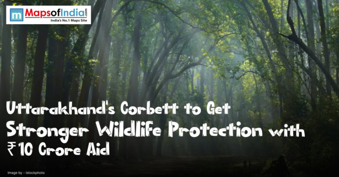 Lush forest in Corbett Tiger Reserve, Uttarakhand, benefiting from ₹10 crore wildlife protection aid.