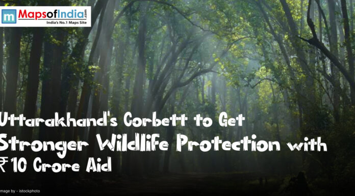 Uttarakhand’s Corbett to Get Stronger Wildlife Protection with ₹10 Crore Aid Lush forest in Corbett Tiger Reserve, Uttarakhand, benefiting from ₹10 crore wildlife protection aid.