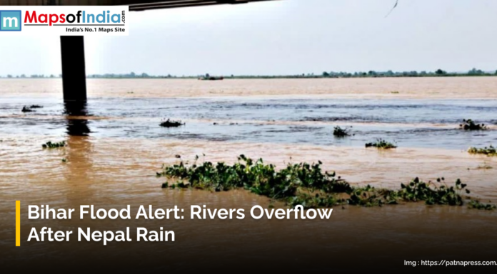 Bihar Flood Alert: Rivers Overflow After Nepal Rain Flooded land filled with mud and trees falling on the ground
