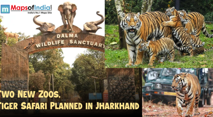 Two New Zoos, Tiger Safari Planned in Jharkhand Entrance of Dalma Wildlife Sanctuary with elephants sculpture, images of tigers and cubs, and safari jeeps, highlighting the plan for two new zoos and a tiger safari in Jharkhand.