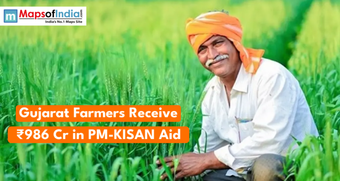 farmers farming in the farms