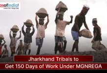 Jharkhand Tribals to Get 150 Days of Work Under MGNREGA Tribal workers in Jharkhand carrying baskets of soil, representing MGNREGA employment scheme providing 150 days of work.