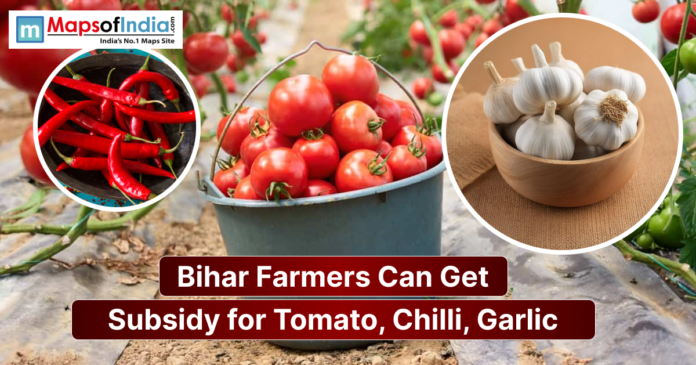 Bihar (2) Image showing tomatoes, red chillies, and garlic with a headline stating that Bihar farmers can get subsidies for tomato, chilli, and garlic cultivation.