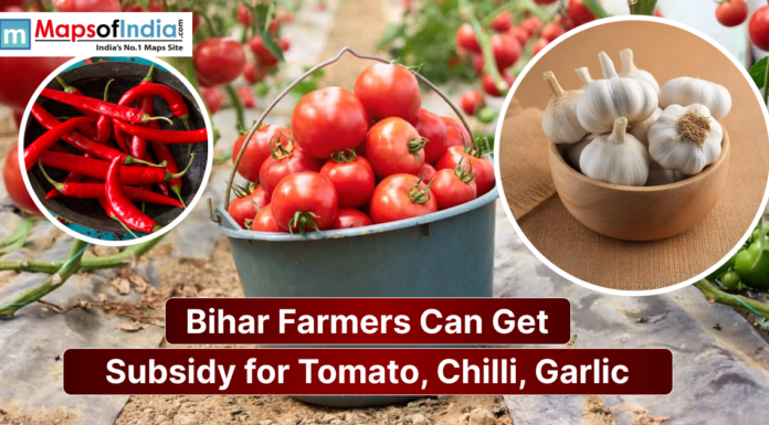 Bihar Farmers Can Get Subsidy for Tomato, Chilli, Garlic Image showing tomatoes, red chillies, and garlic with a headline stating that Bihar farmers can get subsidies for tomato, chilli, and garlic cultivation.