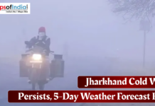 Jharkhand Cold Wave Persists, 5-Day Weather Forecast Here Motorcyclist riding through dense fog during a cold wave in Jharkhand, highlighting low visibility and severe winter weather conditions.