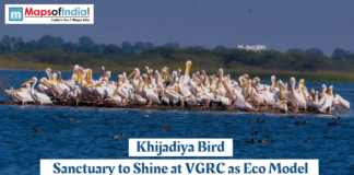 Khijadiya Bird Sanctuary to Shine at VGRC as Eco Model Flock of pelicans gathered on a waterbody at Khijadiya Bird Sanctuary in Gujarat, showcasing rich birdlife as the sanctuary aims to emerge as an eco model at VGRC.