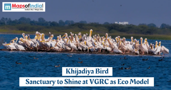 Khijadiya Bird Flock of pelicans gathered on a waterbody at Khijadiya Bird Sanctuary in Gujarat, showcasing rich birdlife as the sanctuary aims to emerge as an eco model at VGRC.
