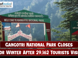 Entrance gate of Gangotri National Park surrounded by dense green forests and mountains, with a headline overlay stating “Gangotri National Park Closes for Winter After 29,162 Tourists Visit,” and the Maps of India logo at the top left corner.