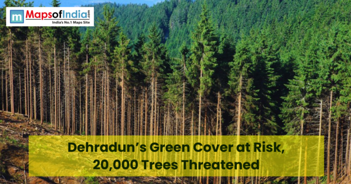 Dense forest landscape in Dehradun with tall pine trees and a hillside, overlaid with text “Dehradun’s Green Cover at Risk, 20,000 Trees Threatened” and Maps of India logo in the corner
