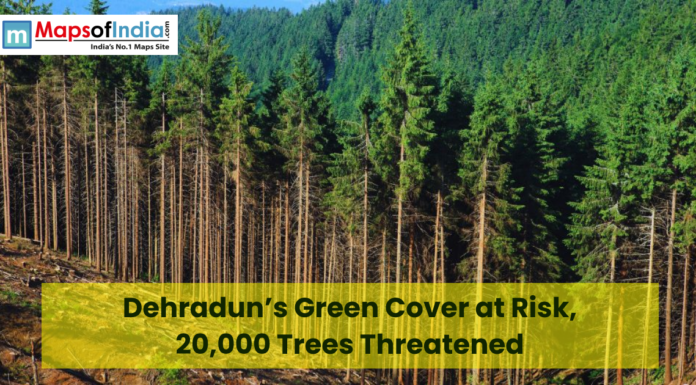 Dehradun’s Green Cover at Risk, 20,000 Trees Threatened Dense forest landscape in Dehradun with tall pine trees and a hillside, overlaid with text “Dehradun’s Green Cover at Risk, 20,000 Trees Threatened” and Maps of India logo in the corner