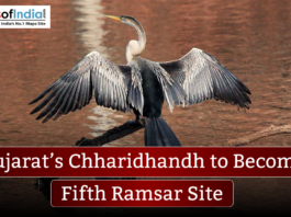 Bird with wings spread perched over water, with a banner reading “Gujarat’s Chharidhandh to Become Fifth Ramsar Site” and the MapsofIndia logo in the corner.
