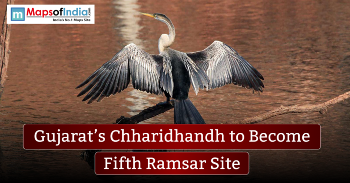 Bird with wings spread perched over water, with a banner reading “Gujarat’s Chharidhandh to Become Fifth Ramsar Site” and the MapsofIndia logo in the corner.