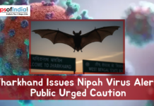 Jharkhand Issues Nipah Virus Alert, Public Urged Caution Illustration showing a bat in flight with virus graphics and a headline reading “Jharkhand Issues Nipah Virus Alert, Public Urged Caution,” symbolizing a public health warning.