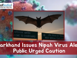 Illustration showing a bat in flight with virus graphics and a headline reading “Jharkhand Issues Nipah Virus Alert, Public Urged Caution,” symbolizing a public health warning.