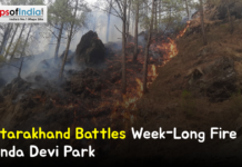 Uttarakhand Battles Week-Long Fire in Nanda Devi Park Forest fire burning on a hillside in Nanda Devi National Park, Uttarakhand, with flames and smoke spreading among trees, featuring the headline “Uttarakhand Battles Week-Long Fire in Nanda Devi Park.”