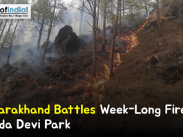 Forest fire burning on a hillside in Nanda Devi National Park, Uttarakhand, with flames and smoke spreading among trees, featuring the headline “Uttarakhand Battles Week-Long Fire in Nanda Devi Park.”