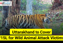 Uttarakhand to Cover ₹15L for Wild Animal Attack Victims A tiger walking through a forest in Uttarakhand with text stating “Uttarakhand to Cover ₹15L for Wild Animal Attack Victims” and the Maps of India logo.