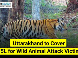 A tiger walking through a forest in Uttarakhand with text stating “Uttarakhand to Cover ₹15L for Wild Animal Attack Victims” and the Maps of India logo.