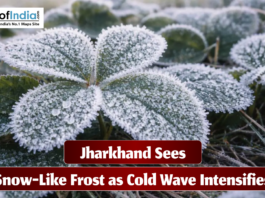 Close-up of green leaves covered in snow-like frost during a cold wave in Jharkhand, with ice crystals visible on the surface and a headline reading ‘Jharkhand Sees Snow-Like Frost as Cold Wave Intensifies.’