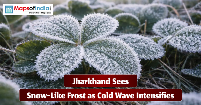 Close-up of green leaves covered in snow-like frost during a cold wave in Jharkhand, with ice crystals visible on the surface and a headline reading ‘Jharkhand Sees Snow-Like Frost as Cold Wave Intensifies.’
