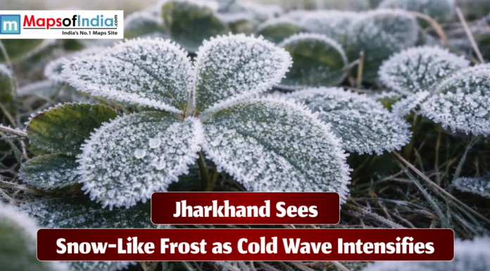 Jharkhand Sees Snow-Like Frost as Cold Wave Intensifies Close-up of green leaves covered in snow-like frost during a cold wave in Jharkhand, with ice crystals visible on the surface and a headline reading ‘Jharkhand Sees Snow-Like Frost as Cold Wave Intensifies.’