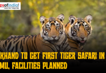Jharkhand to Get First Tiger Safari in Palamu, Facilities Planned An image showing two tigers lying down against a blurred forest background, with the logo of "Maps of India" in the top left corner