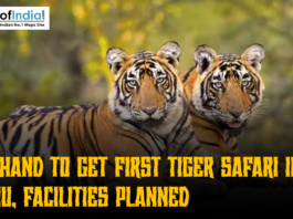 An image showing two tigers lying down against a blurred forest background, with the logo of "Maps of India" in the top left corner