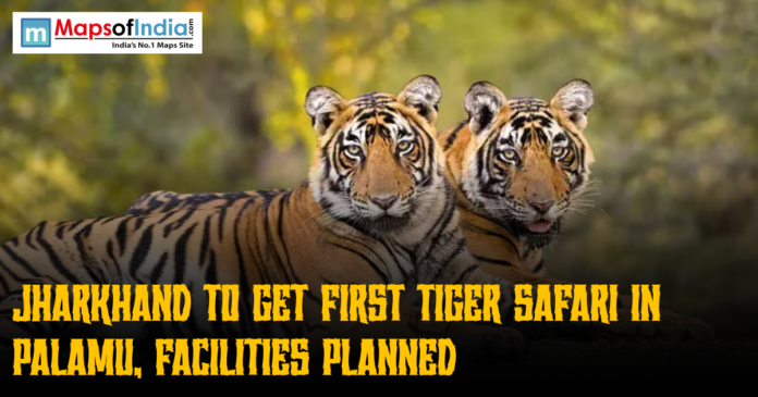 An image showing two tigers lying down against a blurred forest background, with the logo of 