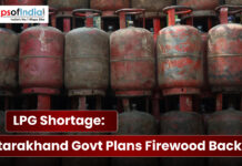 LPG Shortage: Uttarakhand Govt Plans Firewood Backup Stacked LPG cylinders highlighting the LPG shortage and Uttarakhand government’s plan for firewood backup