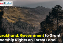 Uttarakhand: Government to Grant Ownership Rights on Forest Land Terraced hills and forest landscape in Uttarakhand highlighting the government’s plan to grant ownership rights on forest land