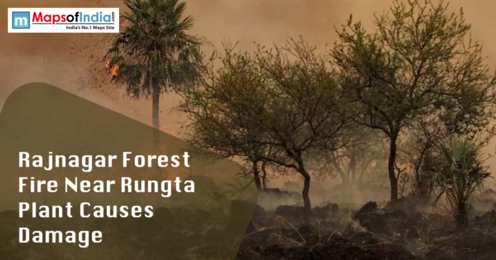 Rajnagar forest Forest fire in Rajnagar near Rungta plant with trees burning and smoke spreading across the area.