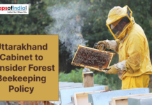 Uttarakhand Cabinet to Consider Forest Beekeeping Policy A beekeeper in protective gear inspects a honeycomb frame as Uttarakhand considers a forest beekeeping policy.