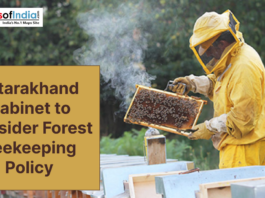A beekeeper in protective gear inspects a honeycomb frame as Uttarakhand considers a forest beekeeping policy.