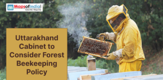 Uttarakhand Cabinet to Consider Forest Beekeeping Policy A beekeeper in protective gear inspects a honeycomb frame as Uttarakhand considers a forest beekeeping policy.