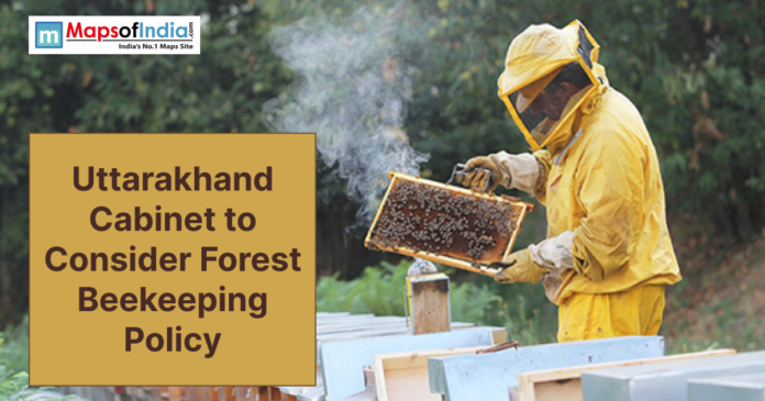 A beekeeper in protective gear inspects a honeycomb frame as Uttarakhand considers a forest beekeeping policy.