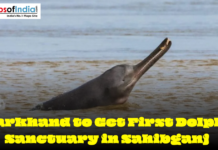 Jharkhand to Get First Dolphin Sanctuary in Sahibganj Ganges river dolphin emerging from water as Jharkhand plans first dolphin sanctuary in Sahibganj