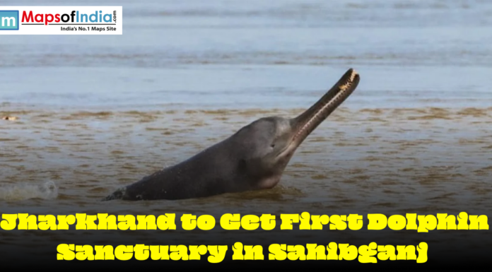 Jharkhand to Get First Dolphin Sanctuary in Sahibganj Ganges river dolphin emerging from water as Jharkhand plans first dolphin sanctuary in Sahibganj