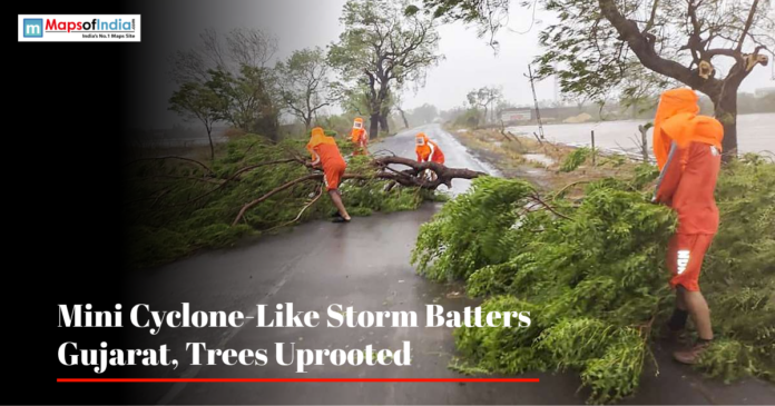 Mini cyclone NDRF personnel clearing an uprooted tree from a road in Gujarat after a storm.
