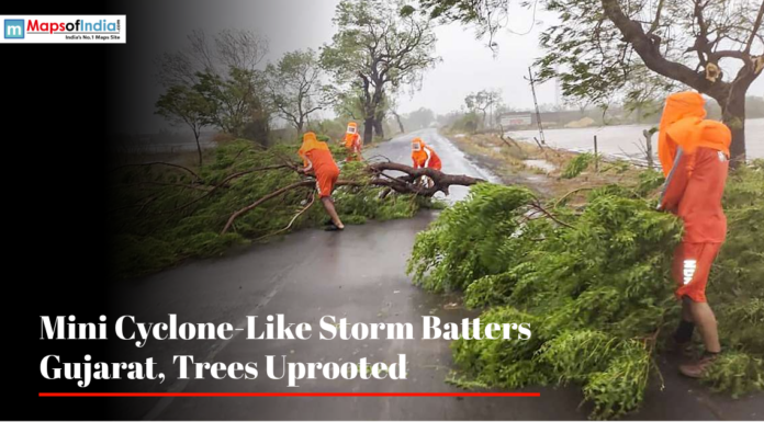 Mini Cyclone-Like Storm Batters Gujarat, Trees Uprooted NDRF personnel clearing an uprooted tree from a road in Gujarat after a storm.